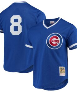 Men's Chicago Cubs Andre Dawson Mitchell & Ness Royal Cooperstown Collection Mesh Batting Practice Jersey