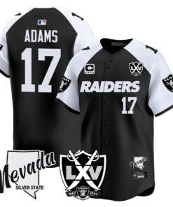 Men's Las Vegas Raiders 2024 Vapor Premier Limited Jersey - 65th Anniversary - All Stitched