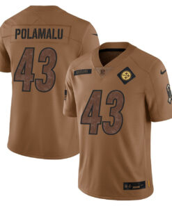 Troy Polamalu Pittsburgh Steelers Salute To Service Brown Jersey - All Stitched